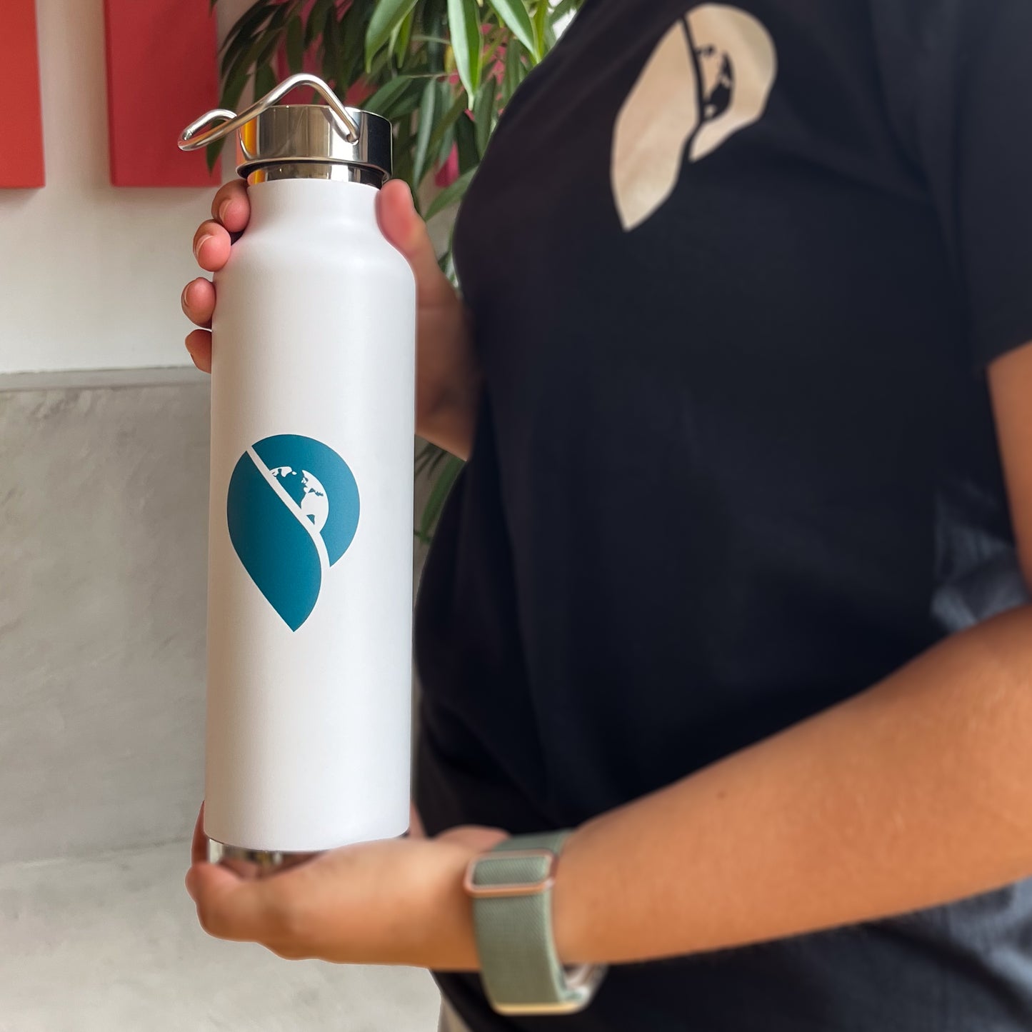 The Cruise Globe Insulated Water Bottle