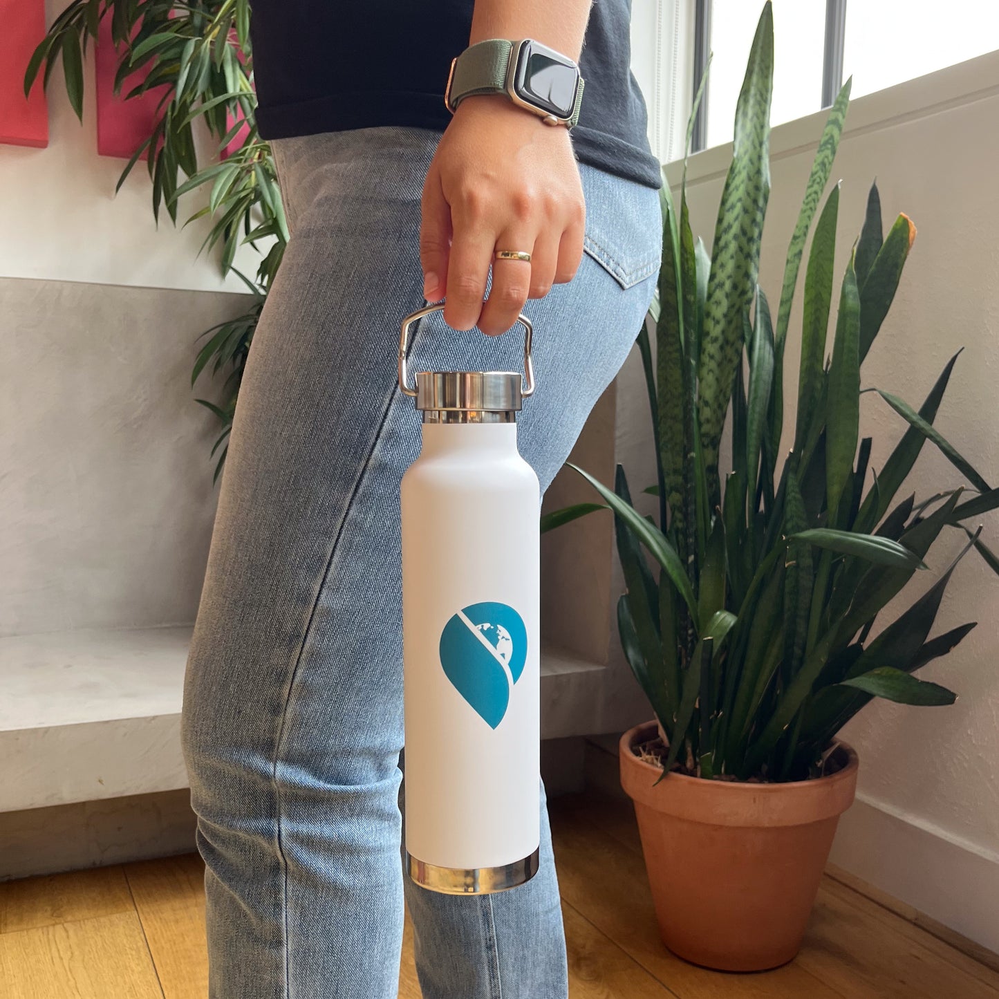 The Cruise Globe Insulated Water Bottle