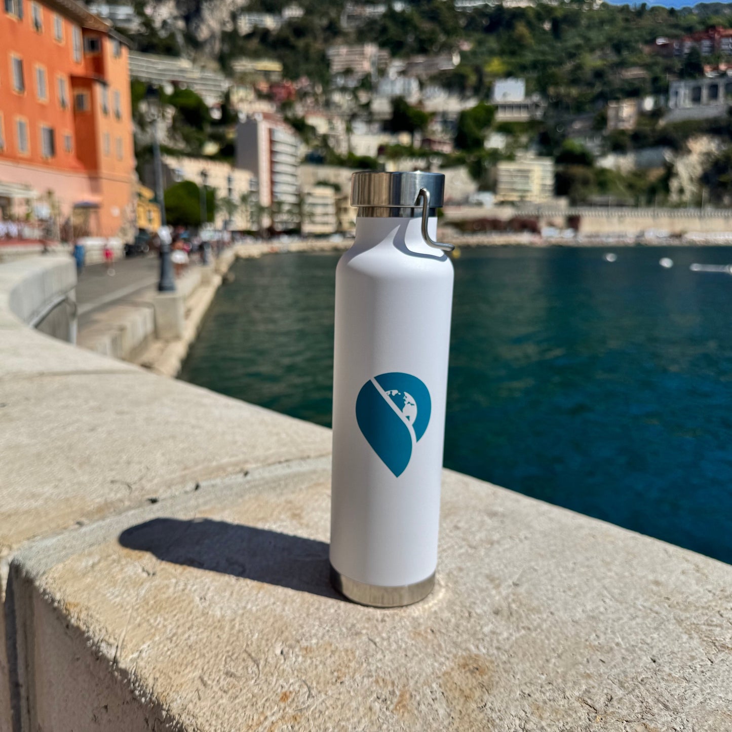 The Cruise Globe Insulated Water Bottle