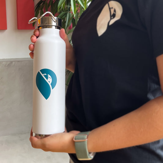 The Cruise Globe Insulated Water Bottle