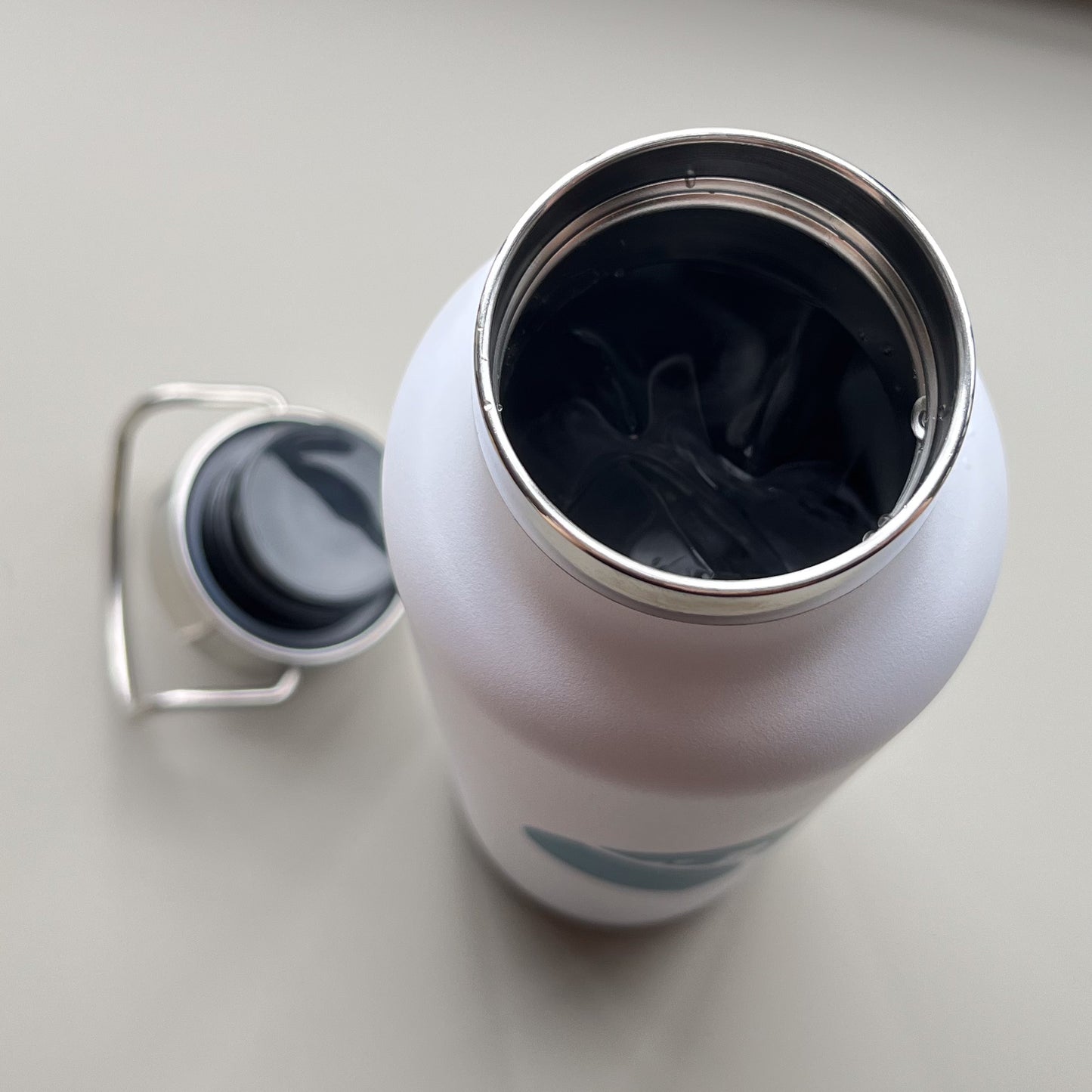 The Cruise Globe Insulated Water Bottle