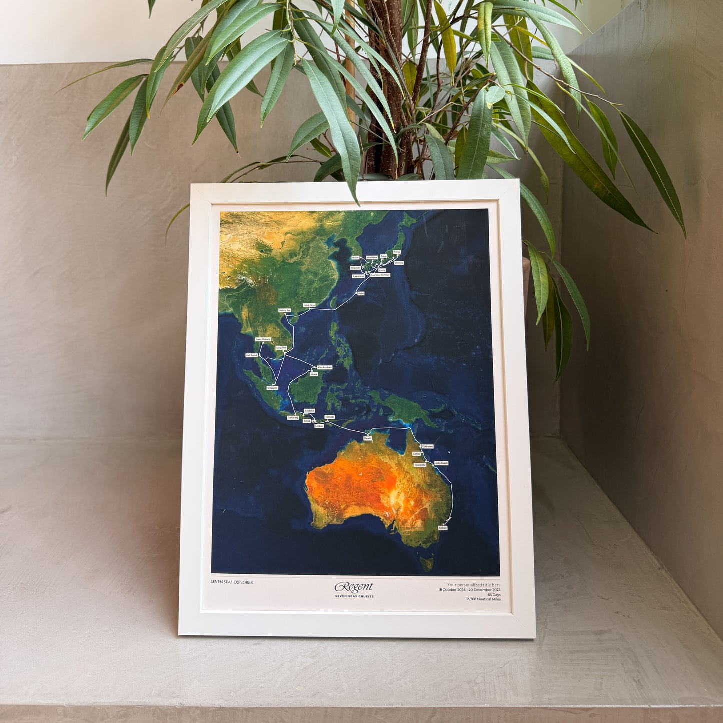 RSSC Cruise Map - Satellite